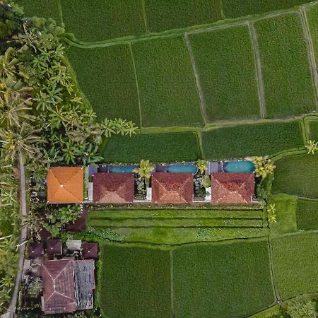 Airsania Ubud Antique Villas Kültér fotó