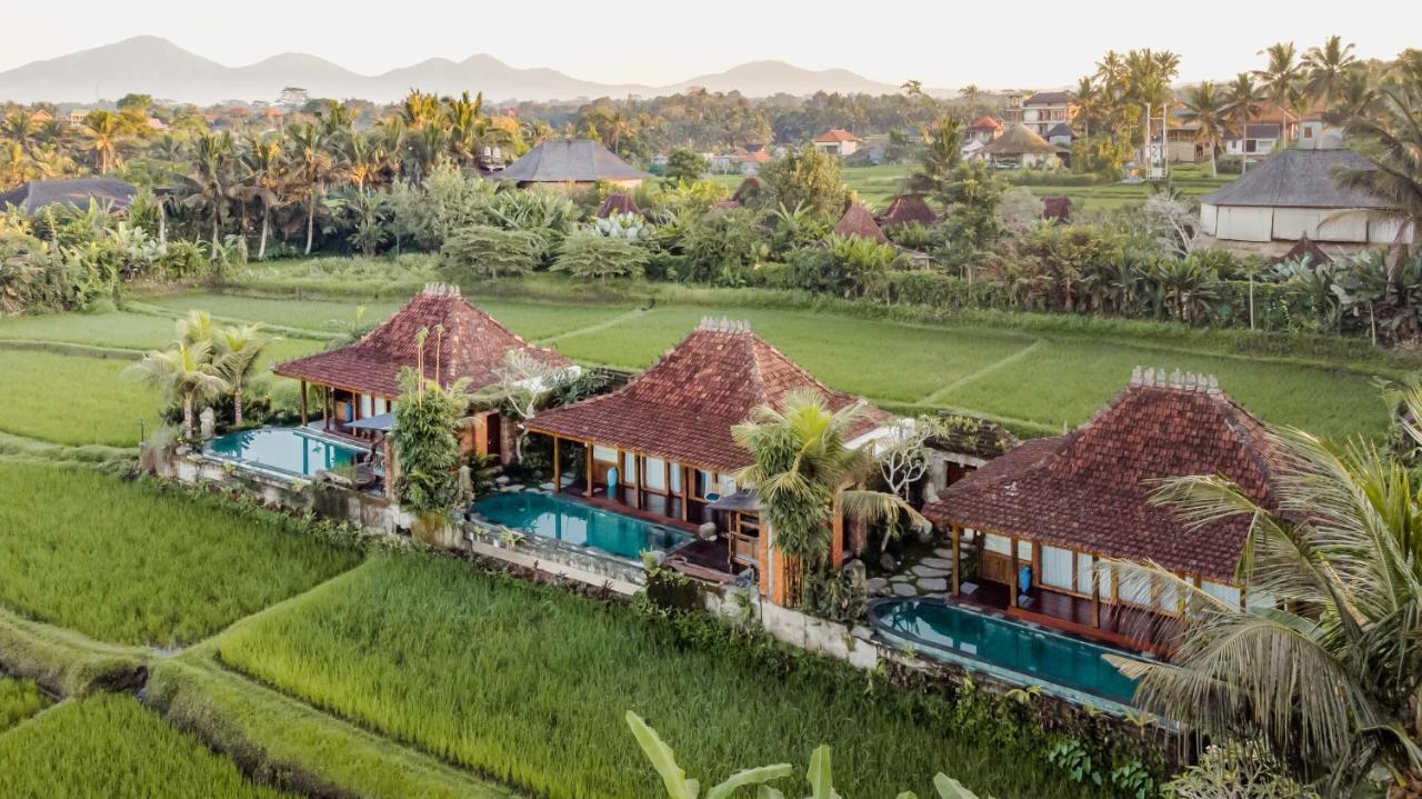 Airsania Ubud Antique Villas Kültér fotó
