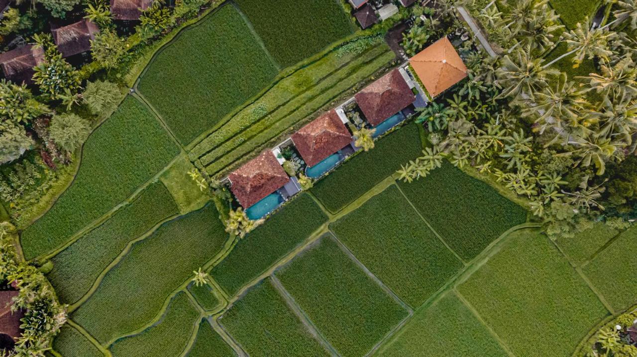Airsania Ubud Antique Villas Kültér fotó